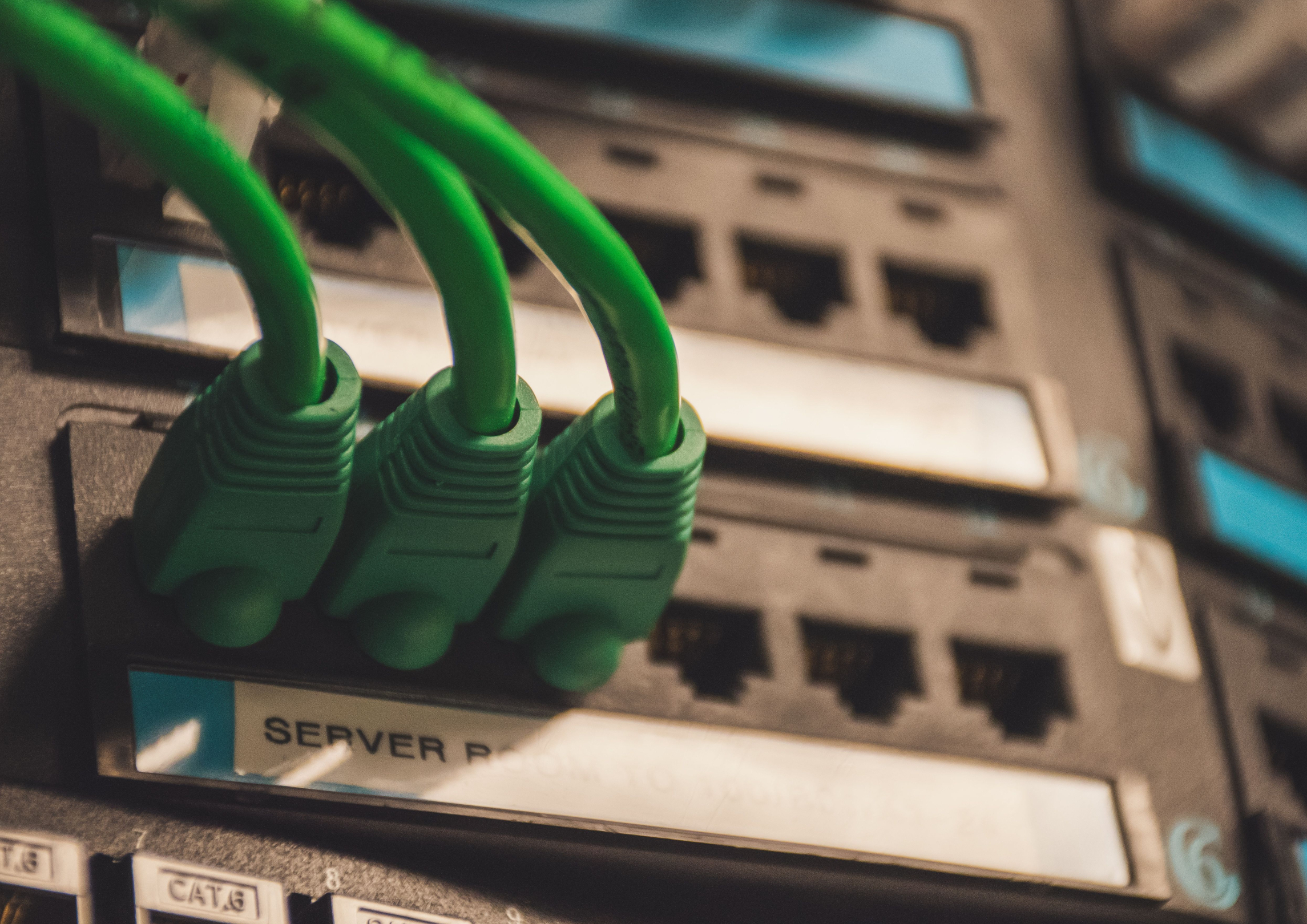 Close-up of green network cables connected to a patch panel labeled “SERVER ROOM” in a server rack.